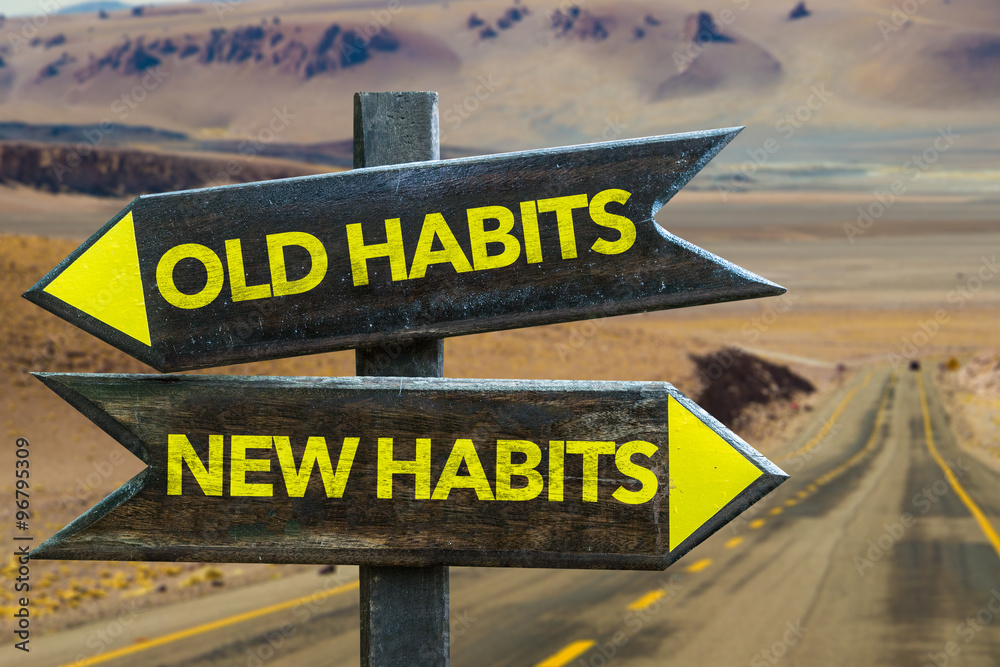 Habits: The Consistency in the Chaos